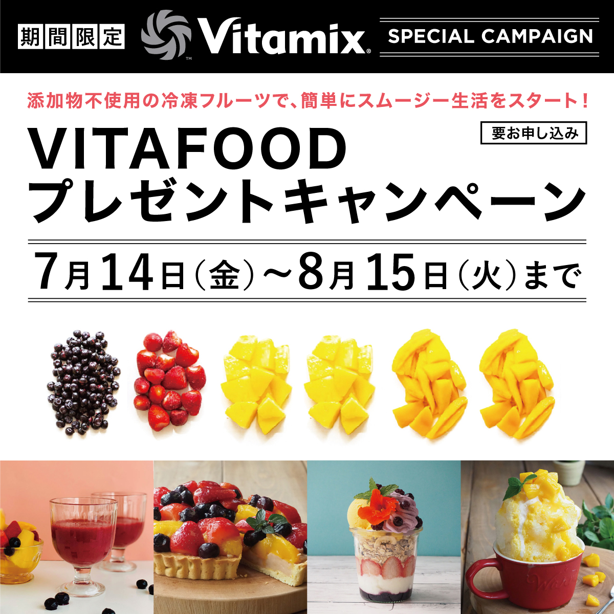 公式】バイタミックス VitamixE310（VM0202）日本正規輸入代理店