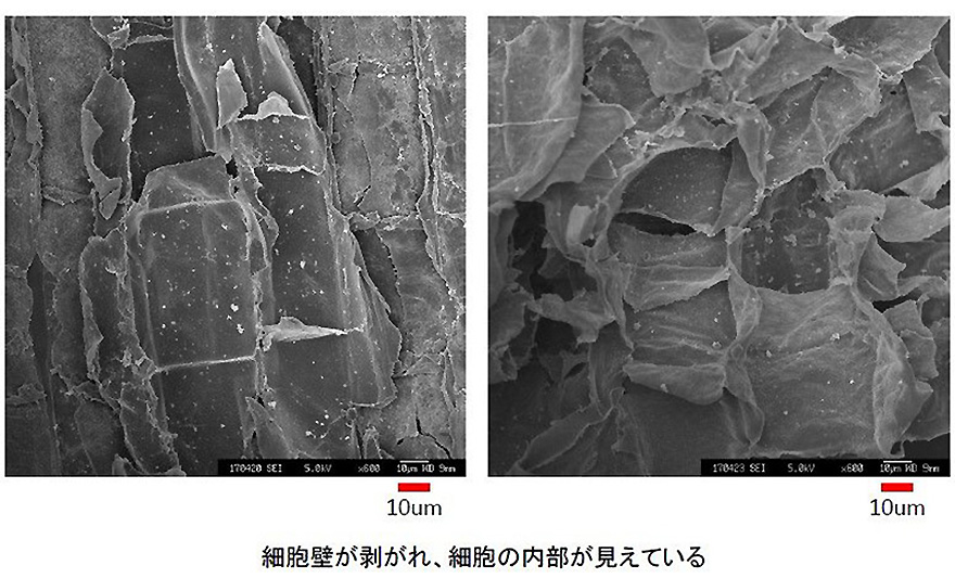 野菜をまるごと摂る重要性｜ホールフードという考え方